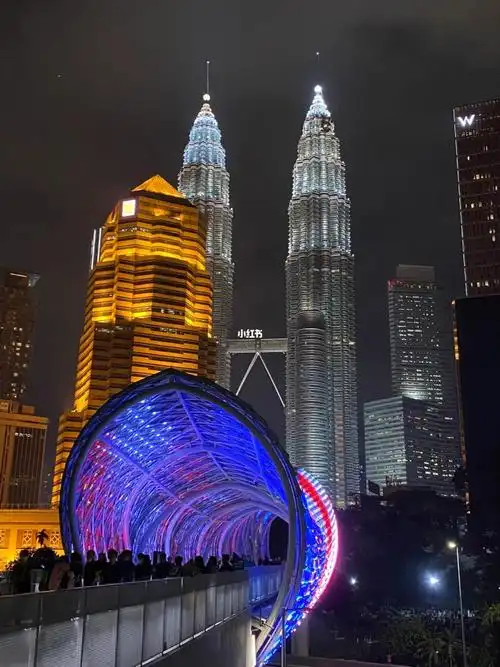 马来西亚夜美景