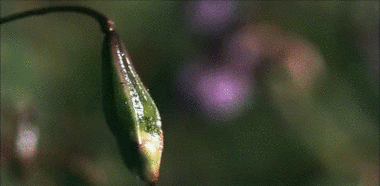 400_196gif 动态图 动图