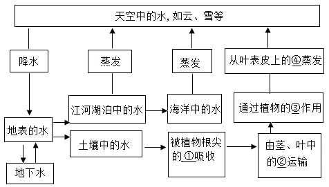 下图是生物圈水循环的示意图请你将它补充完整