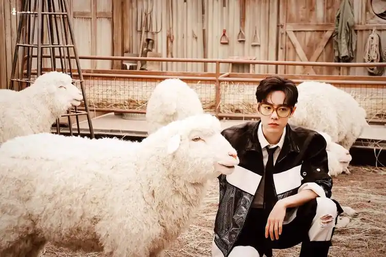 肖战 横屏壁纸 - 堆糖,美图壁纸兴趣社区