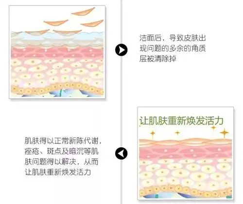 分子量小,渗透力高,洁面时能迅速深入肌肤,溶解去除老旧角质层和污垢