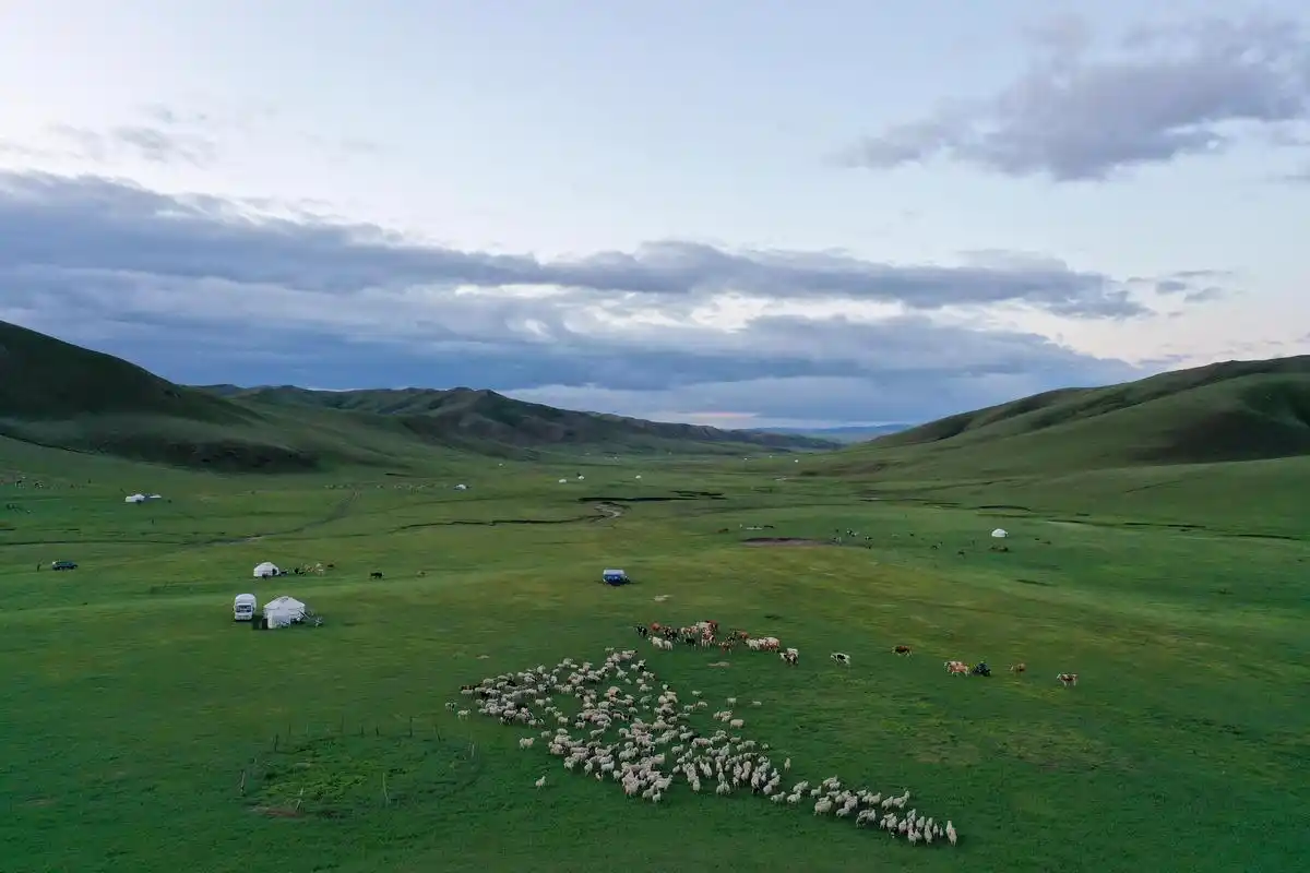 阿鲁科尔沁草原夏日美景