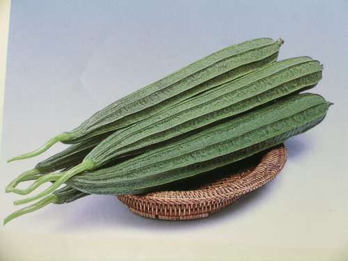 生产厂家直销(10克壹品广东棱丝瓜)