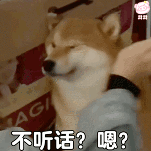 322_322gif 动态图 动图