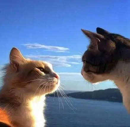 看镜头,我们来一个自拍发朋友圈.