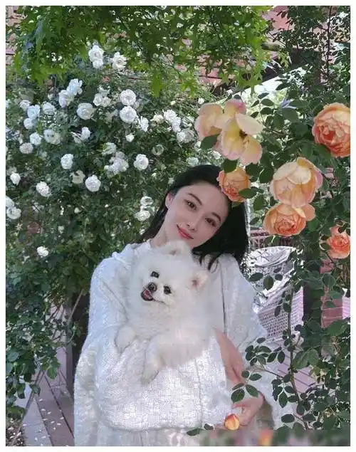 张馨予闺房曝光,花海令人陶醉,菜园惊艳百万._豪宅_生活_社会