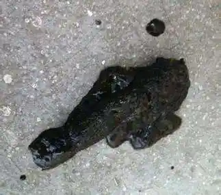 拉出来的屎是黑色是怎么回事