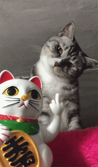 200_341gif 动态图 动图