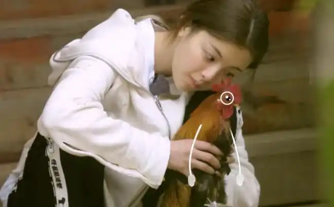 所以杨超越特别的放松自己,因为在刚开始的时候杨超越也是农村出身,在