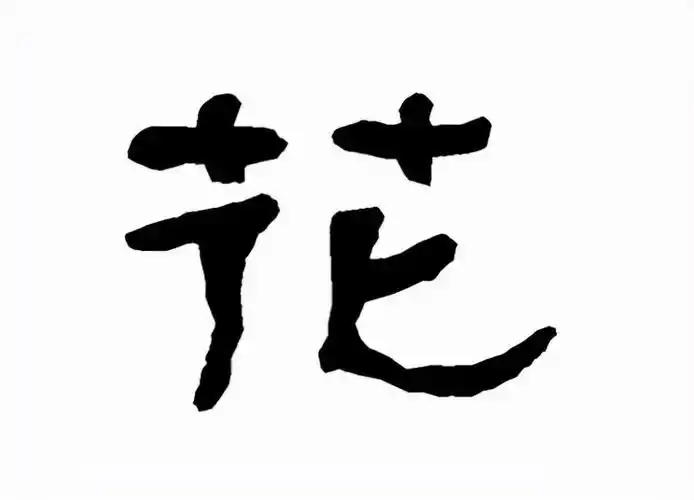 楷书笔画更加平直,字形更加规整,演变为现代汉语的"花".写作