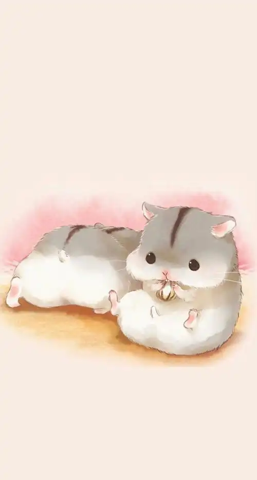 萌萌哒的仓鼠 - 堆糖,美图壁纸兴趣社区