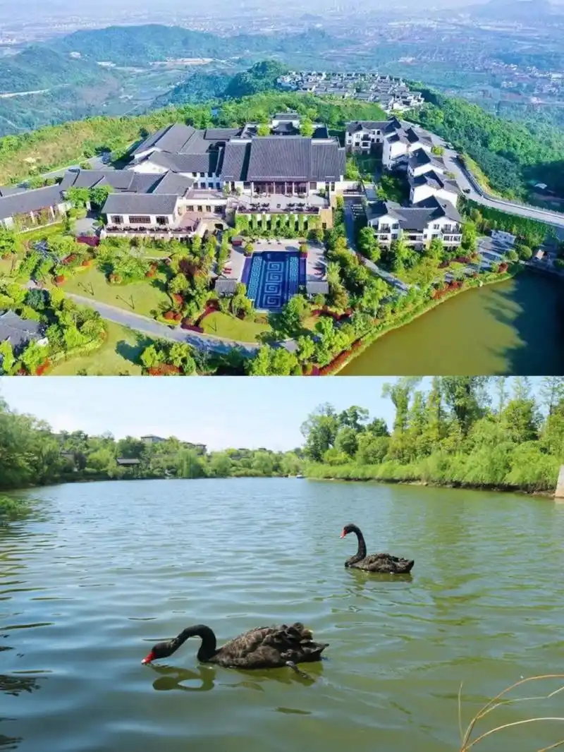 杭州天域开元观堂 江浙沪遛娃度假宝地 93酒店选址人称萧山"小九寨"
