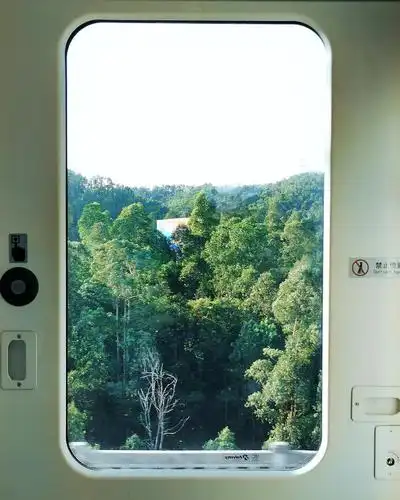 高铁上的窗