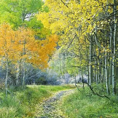 给自己带好运风景头像最美风景合集快来选一张吧