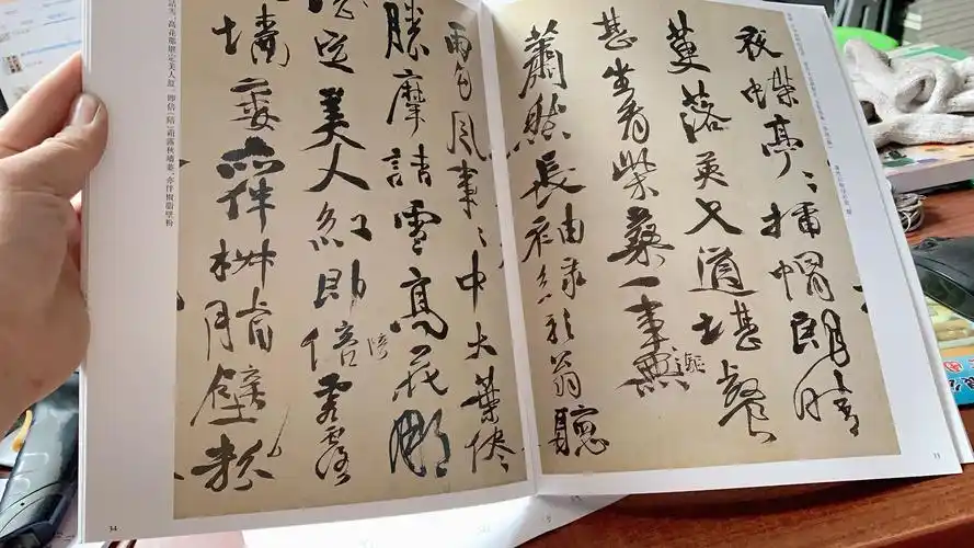 徐渭 历代名家书法经典 繁体旁注 草书诗轴 行草立轴 草书岑参诗轴 画