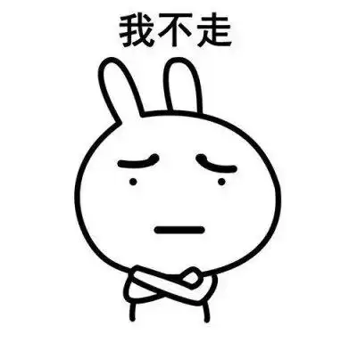我不走表情