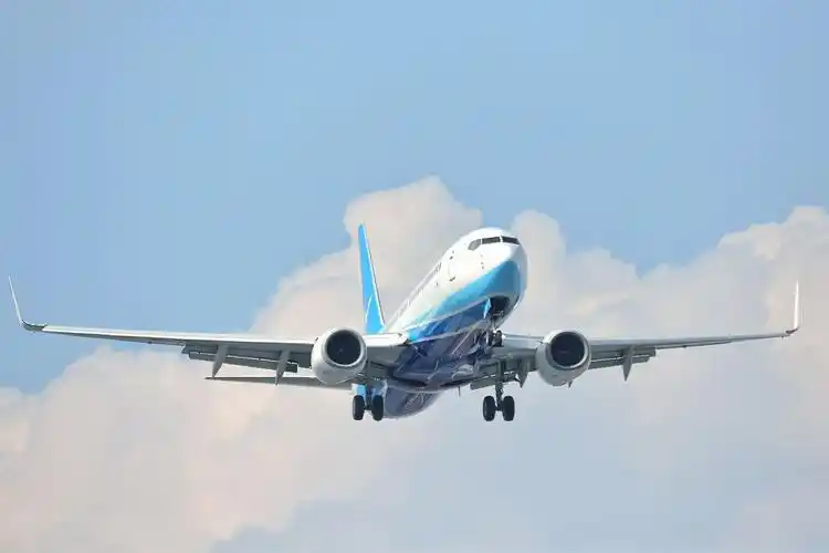 厦门航空737-800 镜头:150-600 f5-6.3 contemporary