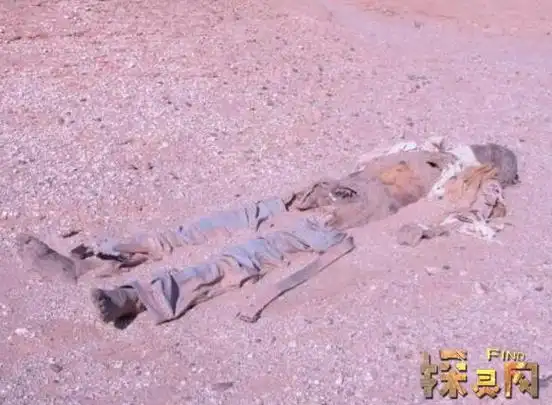 罗布泊双鱼玉佩事件真相双鱼玉佩恐怖的图片曝光2