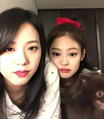 jisoo / jennie头像|今日份甜甜碎片已加载完毕