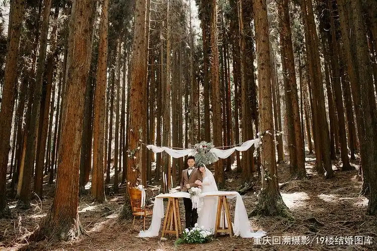 森林系婚礼丨婚纱照
