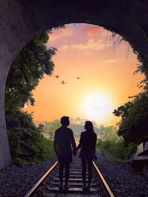 麦香读书的动态