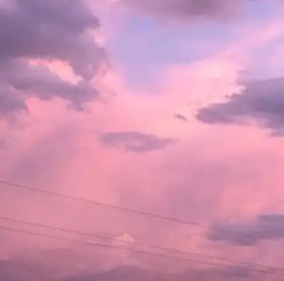 ins网红图.【主打】