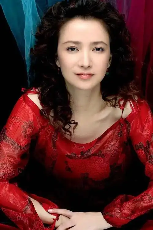 何晴10张精致的照片