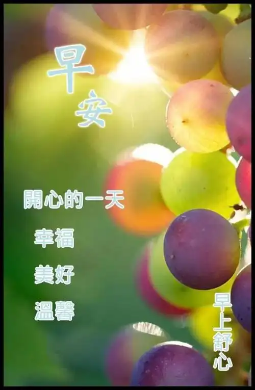 2021最新创意秋天早上好漂亮的早安问候图片祝福语 免打字聊天中老年