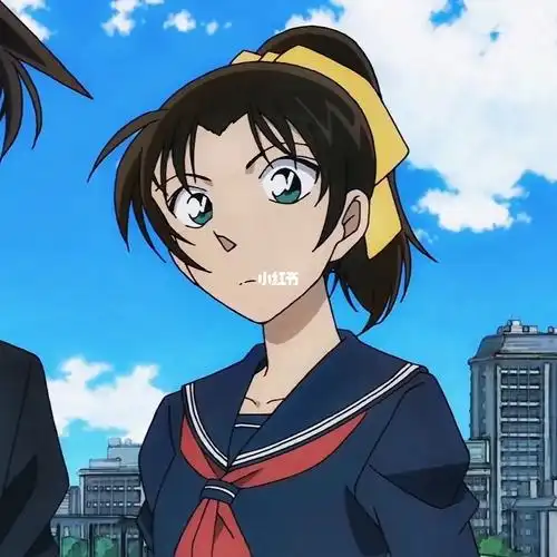 名侦探柯南  #服部平次  #远山和叶  #平和#动漫情头  #情侣头像