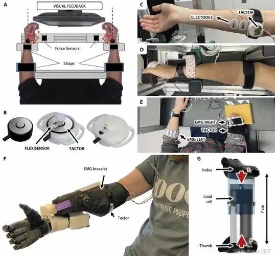 science robotics 自然脊髓反射回路应用在假肢手的感觉运动控制