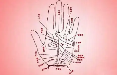 手相图解大全男左手,手相图解大全男左手 男人_商农网