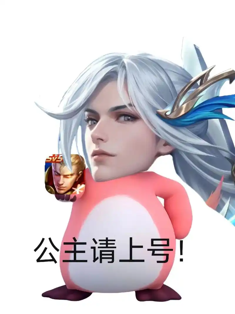 以后找我打游戏要说 公主请上号!#王者 #王者荣耀 #王者表 - 抖音