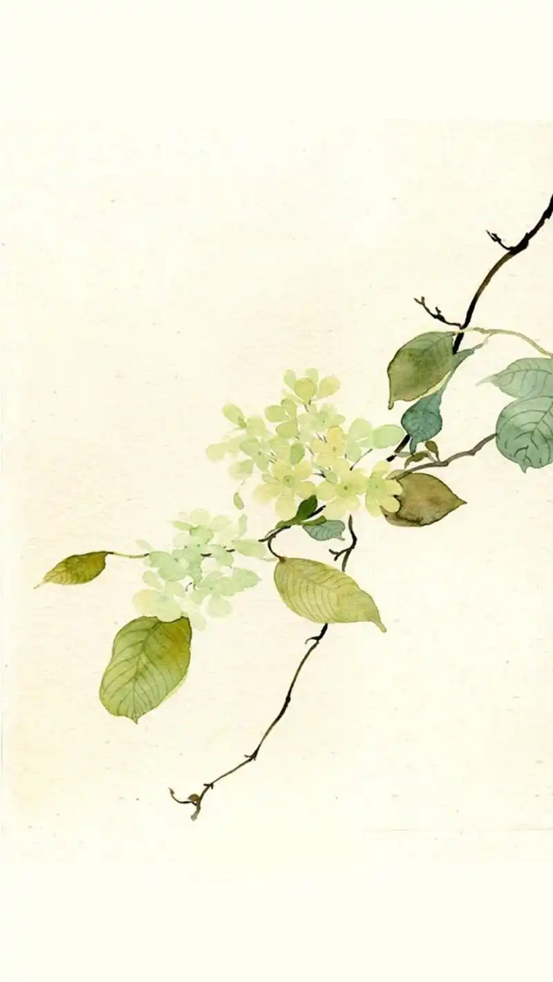 唯美手绘花卉植物高清手机壁纸-风格-手机壁纸下载-美桌网