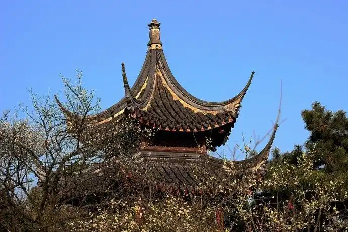 梅园里有座冷香亭,在此能独赏一株罕见珍贵的"银红台阁" 老梅.