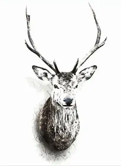 66459鹿头 - artlife艺术生活数字油画_数字油画的第一品牌,让您轻松