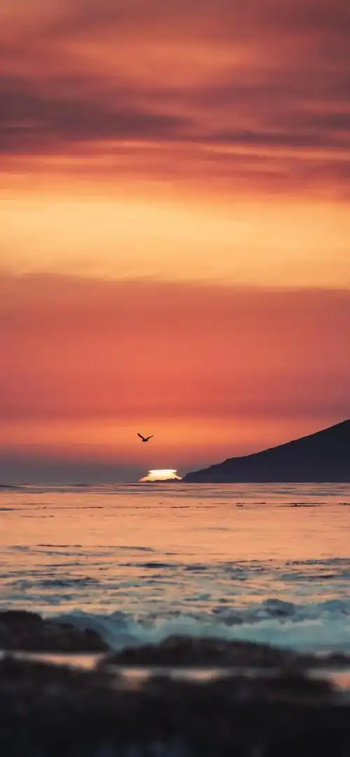 【壁纸】清新文艺风