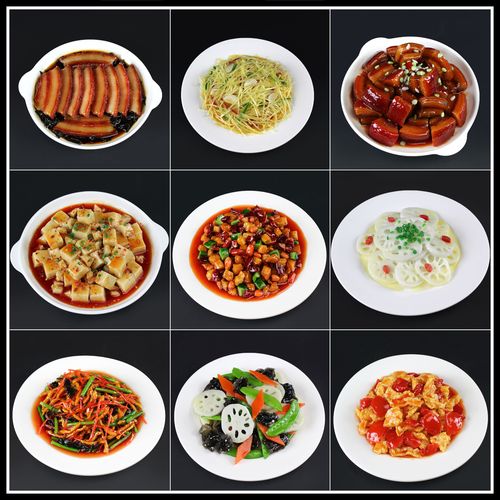 仿真菜品模型假菜食物炒饭热菜海鲜中餐凉菜炒菜食品模型厂家定做