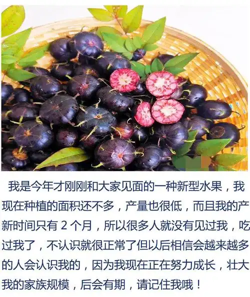 柒岛水果专营店商品编号:10044506496514商品名称:棠鲜生罕见稀有水果