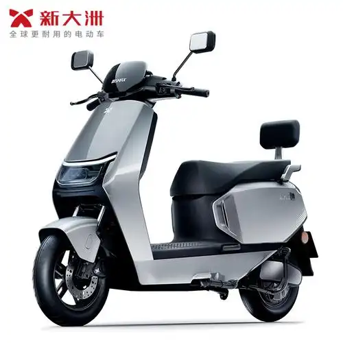新大洲派乐/palla s600电动摩托车成人代步智能解锁高颜值电动轻便