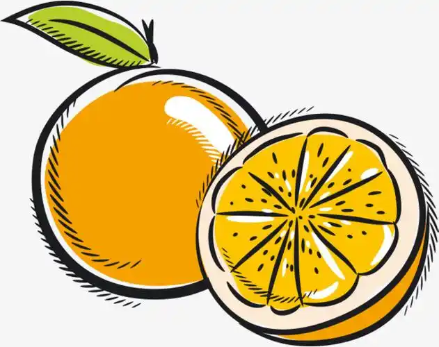 卡通简单风格橙子