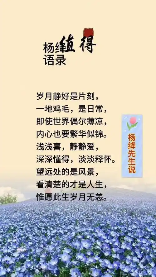 创作灵感杨绛人生感悟抖音短视频