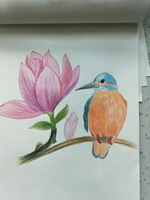 彩铅花鸟画