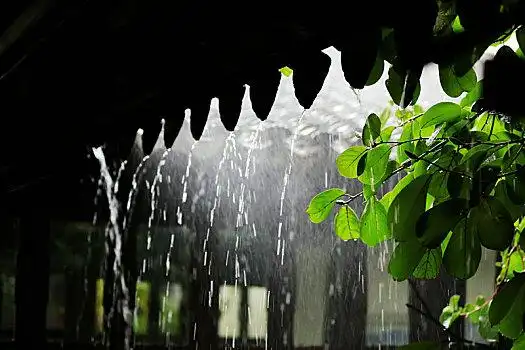拙政园灰瓦雨景