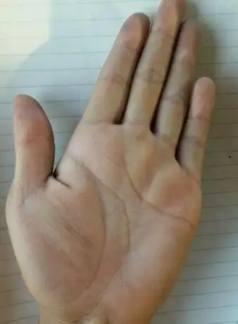 长寿之人的手相,一生无灾无难