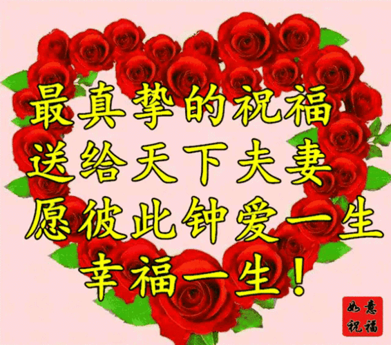 640_565gif 动态图 动图