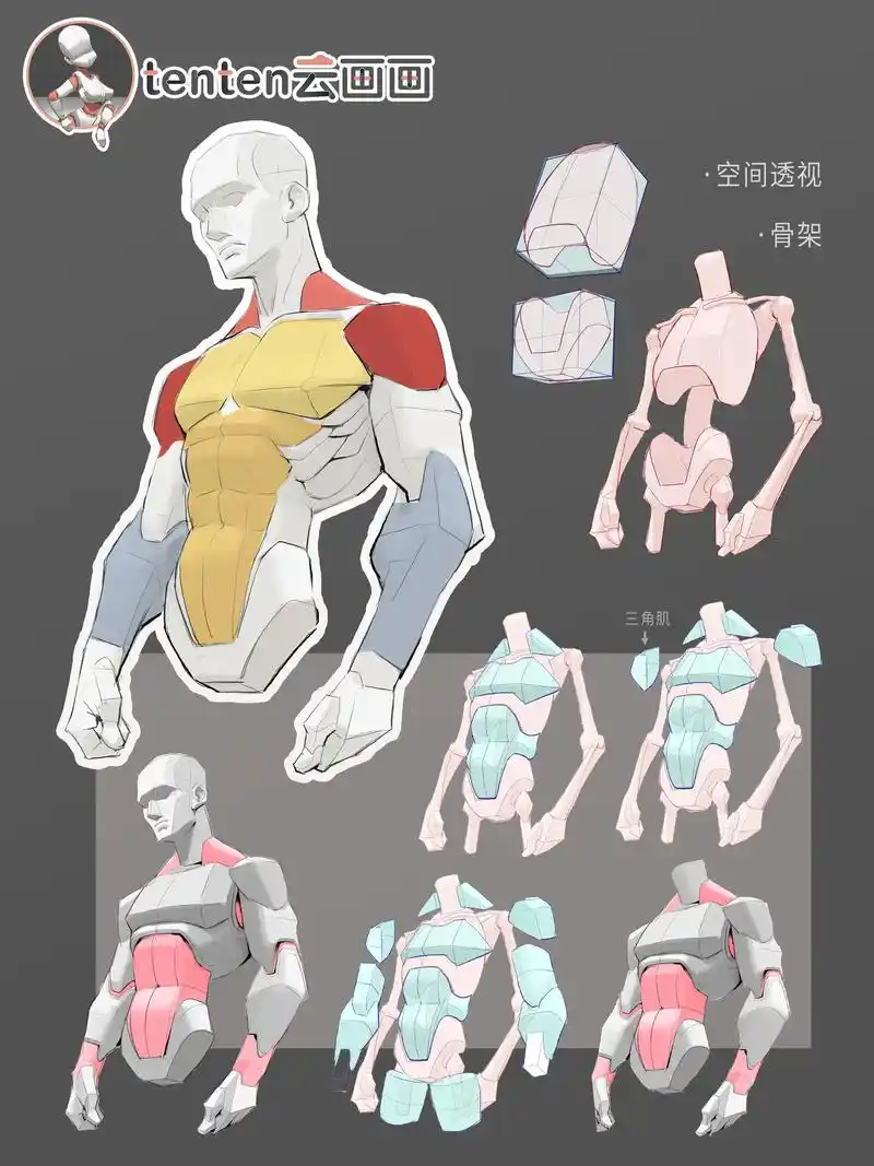 人体体块练习#画画 #人体结构 #画画教程 #肌肉解构 #抖 - 抖音