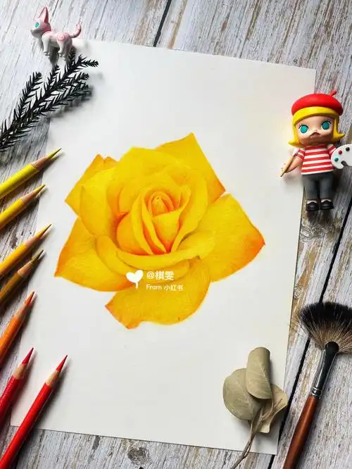 唯美彩铅花卉之盛开的黄玫瑰附色号