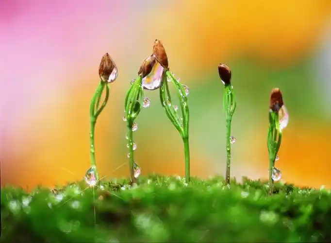 充满希望的春天来了