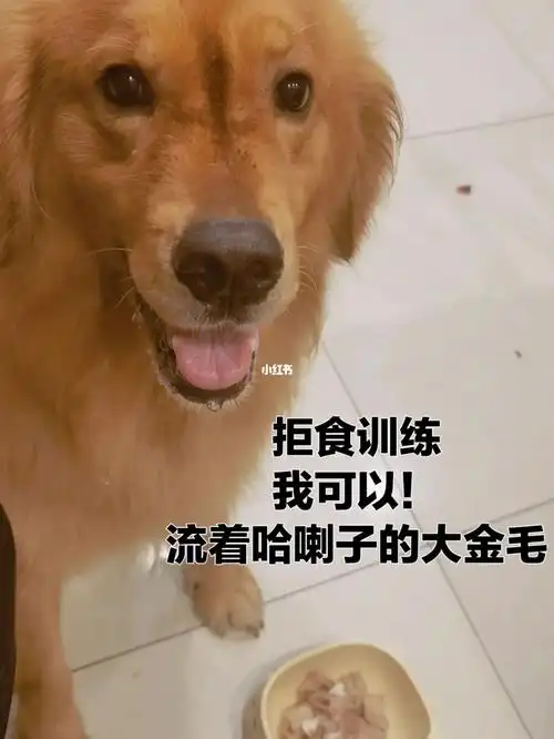 垂涎三尺