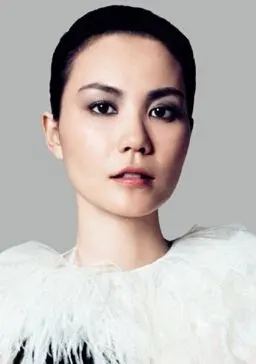 19岁歌迷为王菲出专辑 耗资超百万为出版专门注册公司(6)